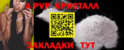 дмт Тара