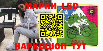 дмт Тара