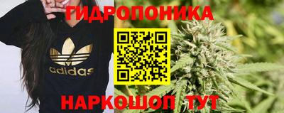 бошки Тверь