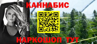 бошки Тверь