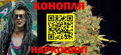 бошки Тверь