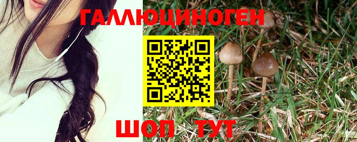 Галлюциногенные грибы мицелий  наркота  Сарапул  Вход с VPN 